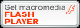 Flash Player